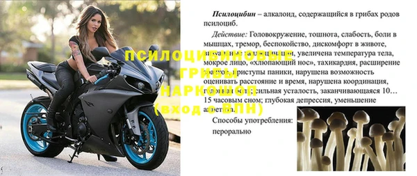 герыч Пестово