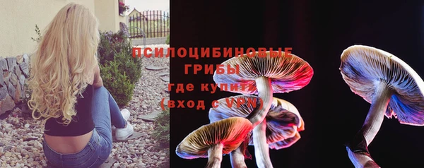 герыч Пестово