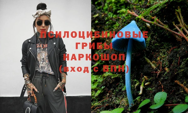 крисы Осинники