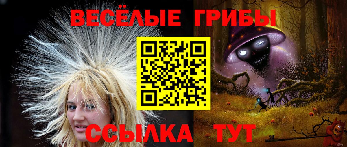 Псилоцибиновые грибы Psilocybine cubensis Воронеж