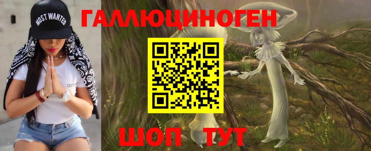 наркота  Галлюциногенные грибы прущие грибы  Вход с VPN  Воронеж 