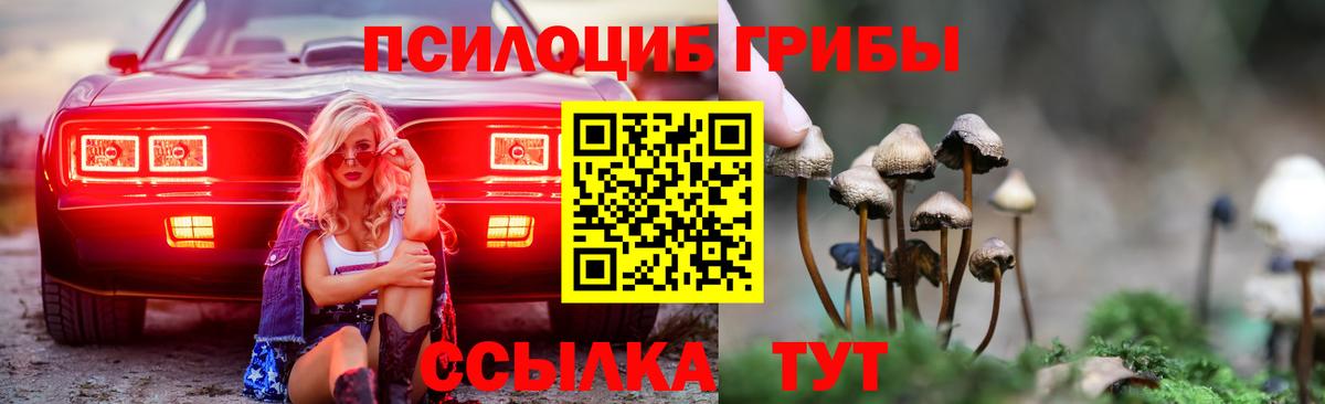 Псилоцибиновые грибы Cubensis Воронеж