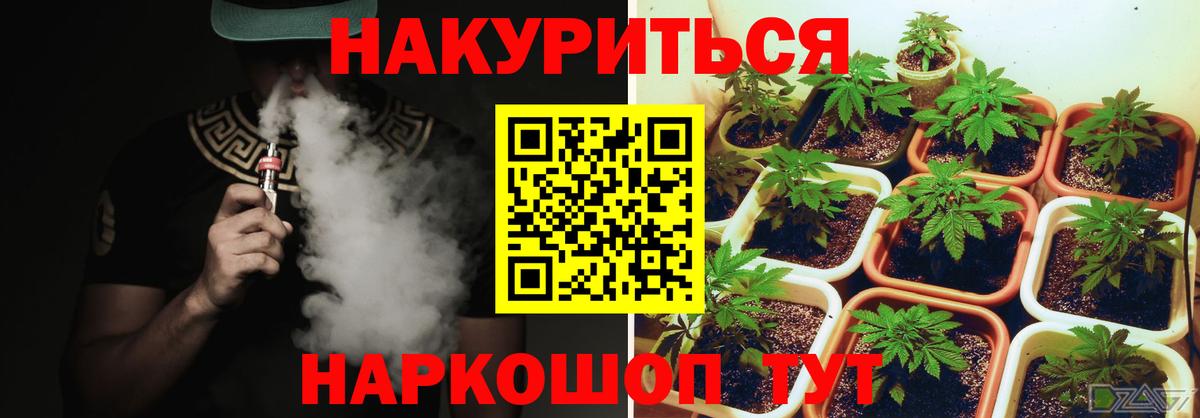 Бошки марихуана THC 21% Воронеж